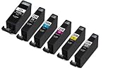 Virtual Outlet 6 Pack Compatible Inkjet Cartridges for Canon PGI-225 & CLI-226, PGI-225BK CLI-226BK CLI-226C CLI-226M CLI-226Y CLI-226GY Compatible with Canon PIXMA MG6120, PIXMA MG8120, PIXMA MG8120B, PIXMA MG6220, PIXMA MG8220 (1 Large Black, 1 Small Black, 1 Cyan, 1 Magenta, 1 Yellow, 1 Gray)