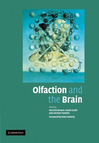 OLFACTION AND THE BRAIN