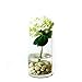WGV Cylinder Vase, Width 6