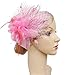 Cizoe Fascinators Hats for Women with Hair Clip Tea Party Hats Feather Wedding Headware Bridal Headpiece(1-Pink)