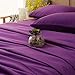 SONORO KATE Sheets Super Soft Microfiber 1800 Thread Count 18 Inch Deep Pocket 4 Piece Queen Size Purple
