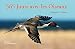 365 jours avec les oiseaux by 