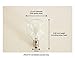 Brillante Replacement Bulbs for G40 Globe String Lights - E12 Socket, Small Candelabra Base (25 Pack of Clear 5 Watt Incandescent Bulbs)