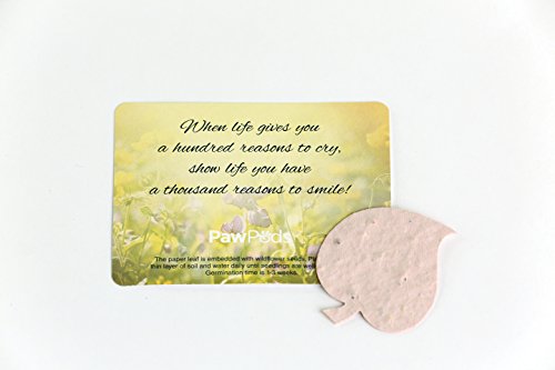 Paw Pods Biodegradable Pet Casket, Large Pod - Thumbnail 2