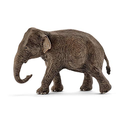 schleich 14753 Asiatische Elefantenkuh, für Kinder ab 3+ Jahren, WILD LIFE - Spielfigur