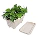 Mkono 2 Pack Rectangular Planter Window Box 15 Inches Plastic Garden Pot with Saucers, Beige