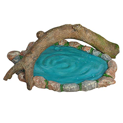 Miniature Fairy Garden 