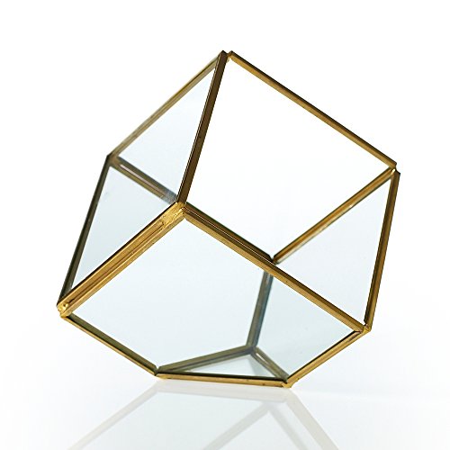 Terrarium Glass Display Box, Industrial Geometric Cube, Clear Glass Candle Holder, 7 inch, Modern Garden Chic Wedding Decor, Succulents &amp; Air Plants Holder, Venue Centerpiece, (Gold), (2 Pack)