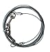 Aspen Pet Dog Tie Out - 10' for Dogs up to 25 pounds primary