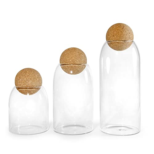 Glass Storage Jars with Cork Lid Ball 3 Pack, Clear Canisters with Air Tight Wood Cork Lid