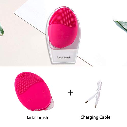 Facial Cleansing Brush, House Envy Sonic Face Brushes, Rechargeable