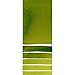 Daniel Smith Extra Fine Watercolor 15ml Paint Tube, Sap Green (284600102), 0.5 Fl Oz (Pack of 1)