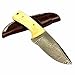 Yooyo Handmade Damascus Steel Knife- Decorative Knives, Camping Survival Knife, and Hunting Knife with Exquisite, Sharp Blade with Real Leather Sheath
