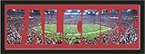Personalize Your Name With Framed Atlanta Falcons Georgia Dome Stadium Large Panoramic Behind Your Name Or Purchase as -FALCONS- Letter Cut Out-Framed Awesome & Beautiful-Must For Any Fan!