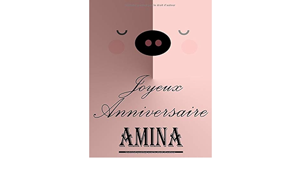 Amazon Com Joyeux Anniversaire Amina Cahier De Dessins Carnet De Croquis Personnalise Format Extra Large 550 Pages A Remplir De Croquis Unique D Anniversaire Pour Filles French Edition