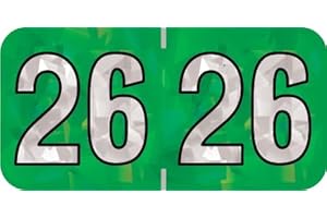 2026 Year Stickers, Doctor Stuff 2026 Chart Stickers, Holographic Green Color Coded, USA Made Year Labels for End Tab File Folders, 500 Labels/Roll in a Dispenser Box, 3/4" x 1-1/2"