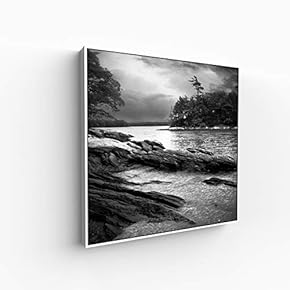 Canvas Wall Art for Living Room, Bedroom Silence Framed Canvas Prints for Home Decoration Ready to Hang - 16x16 inches
