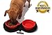Northern Outback Travel Pet Bowl Set - 2 Collapsible 2 CUP Silicone Bowls BONUS Carabiner - BEST DOG OR CAT BOWL - Camping Hiking - BPA FREE