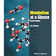 Metabolism at a Glance