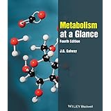 Metabolism at a Glance