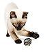 Prairie Horse Supply X Large Premium Mylar Crinkle Balls (46 Pack) (2.5 Inches in Diameter) Interactive Long Lasting Lightweight Shiny Metallic Cat Kitten Toys Assorted Colors
