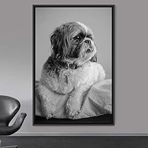 signwin Framed Canvas Wall Art High Contrast Portrait...