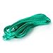 Green Anti Bird Net Garden Plant Fruits Fencing Mesh Protect Fruits from Rodents Birds, 13x 33ft