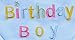 Embroidered Cute Dog Pet Cat Birthday Bandana for Cats Dogs, 100% Cotton, Blue
