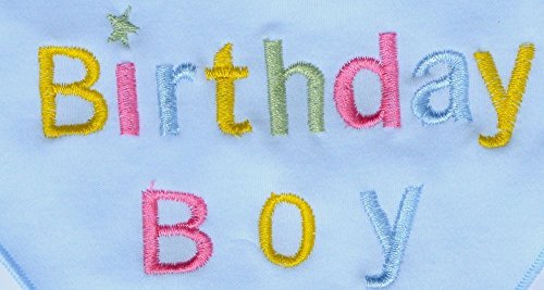 Alemon Dog Pet Birthday Bandana for Dogs, Blue