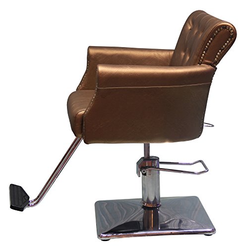 shengyu Classic Hydraulic Barber Chair Styling Salon Beauty