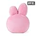 BT21 Official Merchandise by Line Friends - Cooky Decorative Throw Pillows Cushion, 16.5 Inch