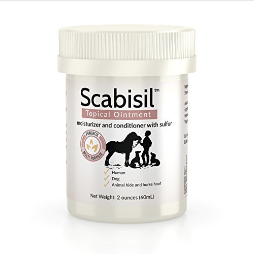 Scabisil Topical 10% Sulfur Ointment - Relief From Mite, Insect Bite, Acne, Fungus, Multipurpose, All Natural. by Scabisil