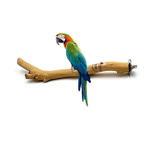 Borange Bird Perch Parrot Perches Natural Wood Branches for Parakeets for Small Large Birds Cockatiel Conure Cage Accessory (25cm/ 10 inch, diamter 1.2-1.8cm)