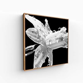 Canvas Wall Art for Living Room, Bedroom Monochrome Image Framed Canvas Prints for Home Decoration Ready to Hang - 16x16 inches