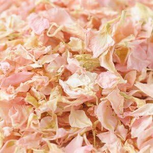 Natural Biodegradable Delphinium Wedding Confetti (Pale Pink, 2 litres)