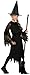 Halloween Concepts Child's Witch Costume with Flocked Velvet Spider Web Fabric, Large