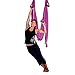 AGPTEK Deluxe Aerial Yoga Inversion Sling Hammock for Aerial Yoga, Flying Antigravity-Pink