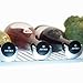 Avina Wine Bottle Stoppers Reusable Airtight Preserver with Easy Push & Lock Seal - Keeps Wine Fresh for up to 7 Days