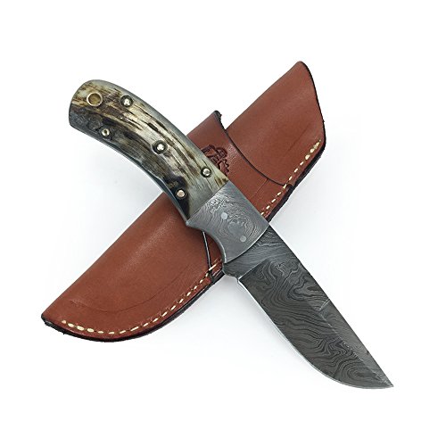 Knives Ranch Damascus Steel 7.5 Fixed Blade Knife with Ram Horn Handle