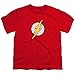 Flash Lightning Bolt Logo Youth Kids Boys T Shirt