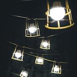 Defender 22m LED ES Festoon Kit 100W 110V E89811 with Guards view 2