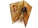 PopLife Pirate Ship & Treasure Map Pop Up Card for All Occasions - Happy Birthday, Graduation, Congratulations, Retirement, Fathers Day - Treasure Hunters, Ocean Lovers - Folds Flat for Mailing