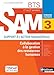 Domaine d'activité SAM 3 Collaboration à la gestion des ressources humaines BTS 1re et 2e années by 