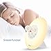 IPEAK Sunrise Alarm Clock, Wake Up Light Radio Alarm Clock, Nature Night Light With 7 Colors, Nature Sounds, FM Radio, Touch Control, Atmosphere Lamp, Bedside Lamp