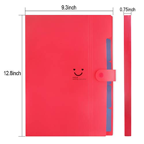 6 Pack Expanding File Folder 5 Pocket with 168pcs File Folder Labels, Plastic Organizer A4 Letter Size Expandable File Folder for School