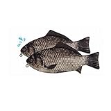 DOOPOOTOO Carp Fish Zipper Pouch Weird Pen Pencil Case