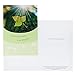 DaySpring Thinking of You Greeting Card with Embossed White Envelopes, 12 Count, Sunny Sentiments
