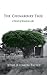 The Chinaberry Tree: A Novel of American Life