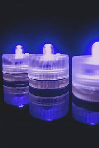 Wayfair 10 Ultra Violet Floralytes LED Submersible LED Floral Light