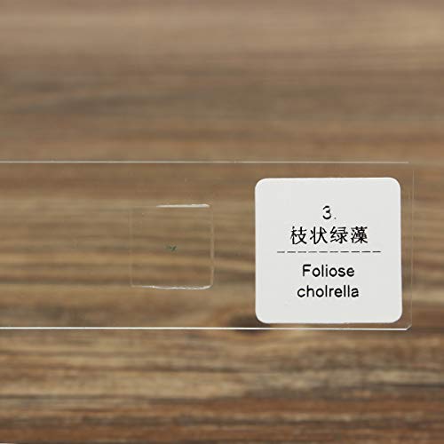 ZUINIUBI Microscope Slides-100pcs Glass Prepared Basic Plant Microscope Slides Sample Biology Pathology